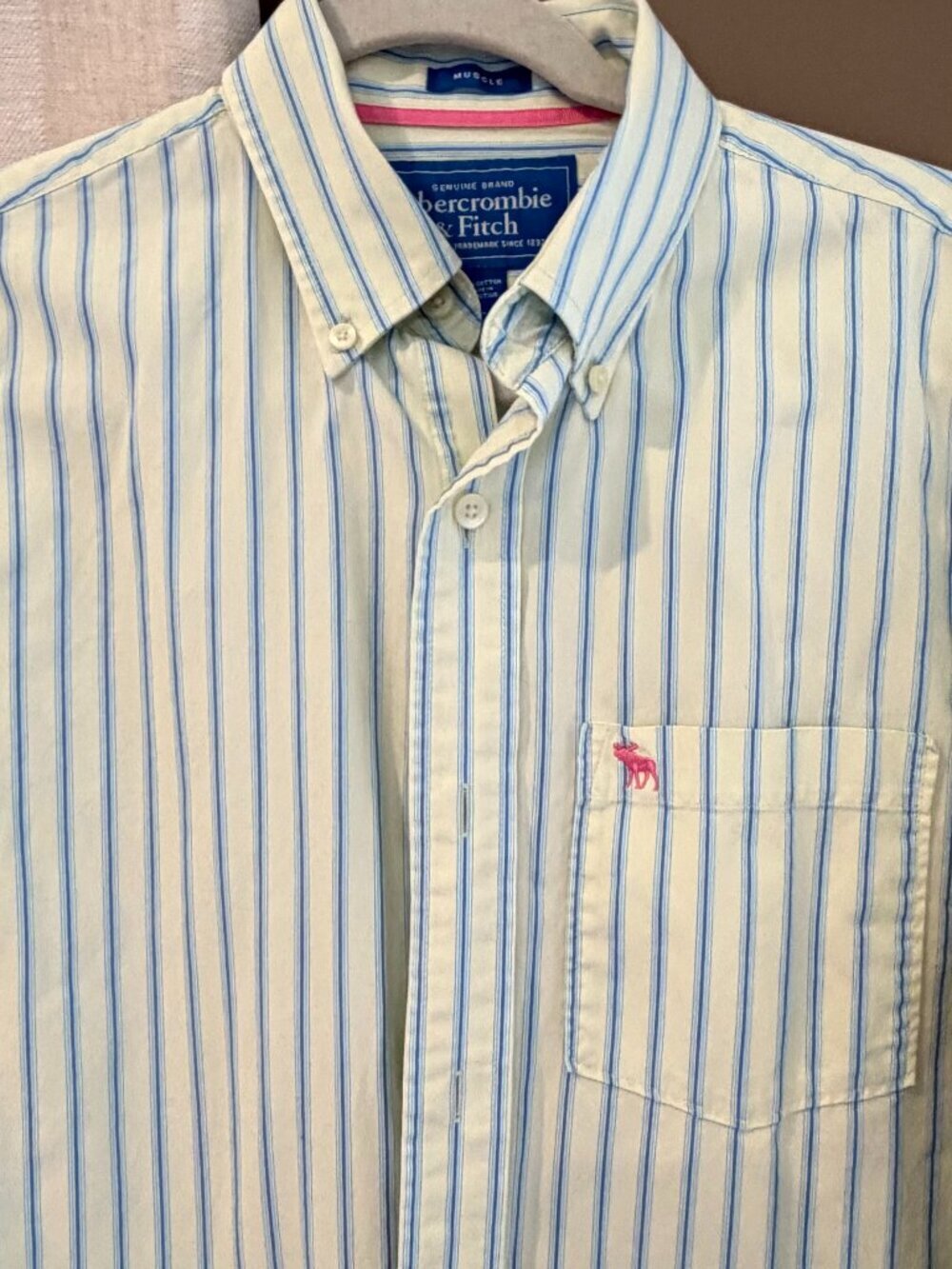 Abercrombie & Fitch Lt Green & Blue Striped Button Down Muscle Long, Size Large